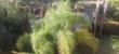 img-20171212-wa0003-3.jpg