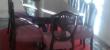 img-20171212-wa0017-4.jpg