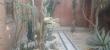 img-20171212-wa0025-3.jpg